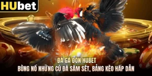Đá Gà Đòn HUBET - Bùng Nổ Những Cú Đá Sấm Sét, Bảng Kèo Hấp Dẫn